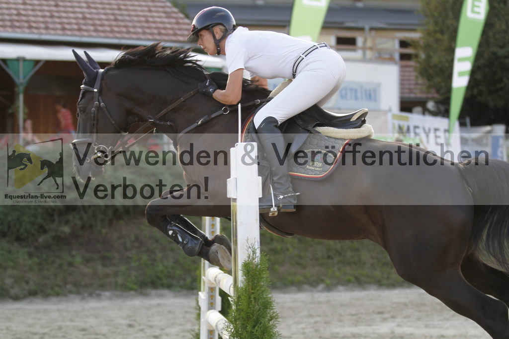 _MG_6516 | equestrian-live-com