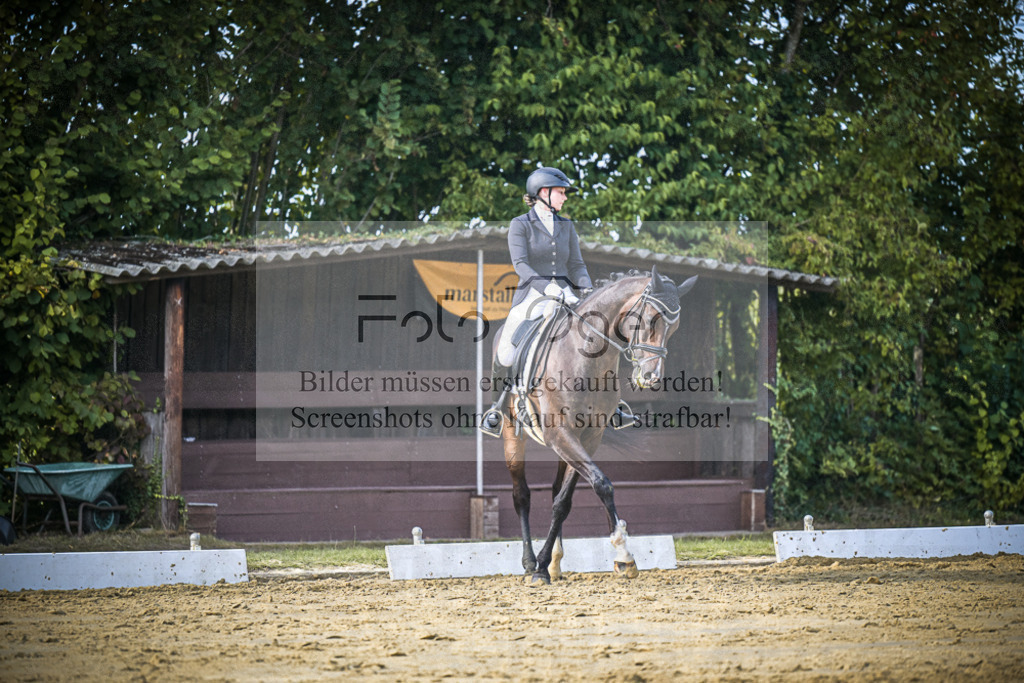DOS_8728 | Entdecke hochwertige Reitturnierfotos von Foto Oger. Professionell, emotional und authentisch – jetzt Lieblingsmomente im Shop bestellen.Deutschlandweite Turnierfotografie. - Realisiert mit Pictrs.com