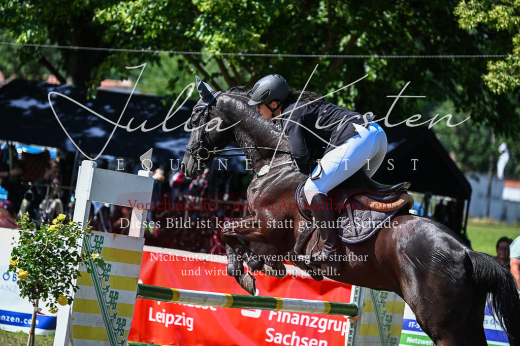DSC_1624 | Pferde- und Turnierfotografie in Westsachsen. Pferdeportraits, Auftragszeichnungen und intuitive Kunst.