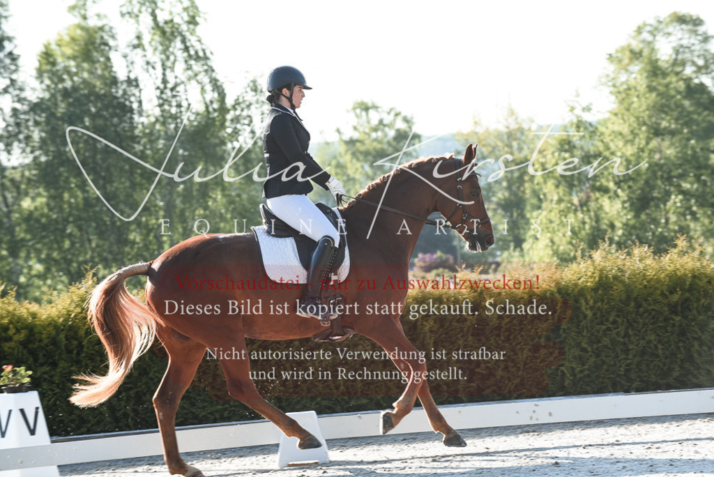 20230518_JK-Röhrsdorf-09-0158 | Pferde- und Turnierfotografie in Westsachsen. Pferdeportraits, Auftragszeichnungen und intuitive Kunst.