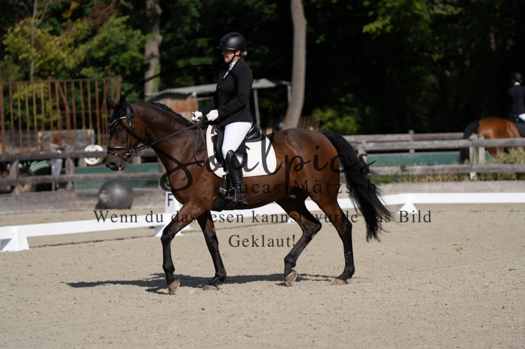 A7V06924 | Turnier/Reitfotograf