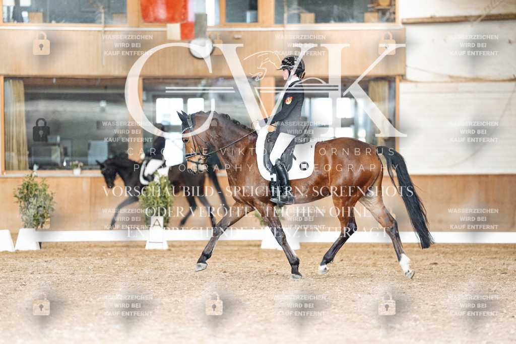 CK901972 | Turnierfotografie Pferdefotografie Trier Rheinland-Pfalz Pferdesport Reitsport Tierfotografie Sportfotografie Pferdevideo Pferdevideografie Equestrianvideography equestrianphotography  - Realized with Pictrs.com
