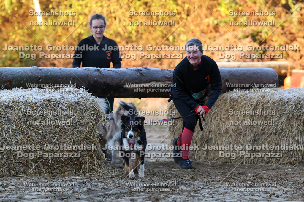 Dog Paparazzi - Strongdog 10-25-418 | Dog Paparazzi Jeanette Grottendiek Fotografie & Videografie