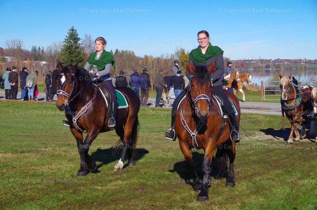IMGP7555 | fotografiert von Axel PollmannLeonhardi Wallfahrt Benediktbeuern und Murnau, Fronleichnam, Fasching, Landschaft im Loisachtal und Benediktbeuern  - Realisiert mit Pictrs.com