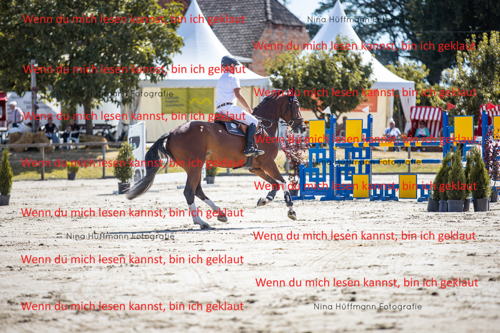 BK1A6281 | Turnierbilder Turnierfotos Nina Hüffmann Turnierfotografie Pferdefotografie Tierzeichnung Haustierzeichnung Pferdezeichnung Hundezeichnung Videograf  - Realisiert mit Pictrs.com