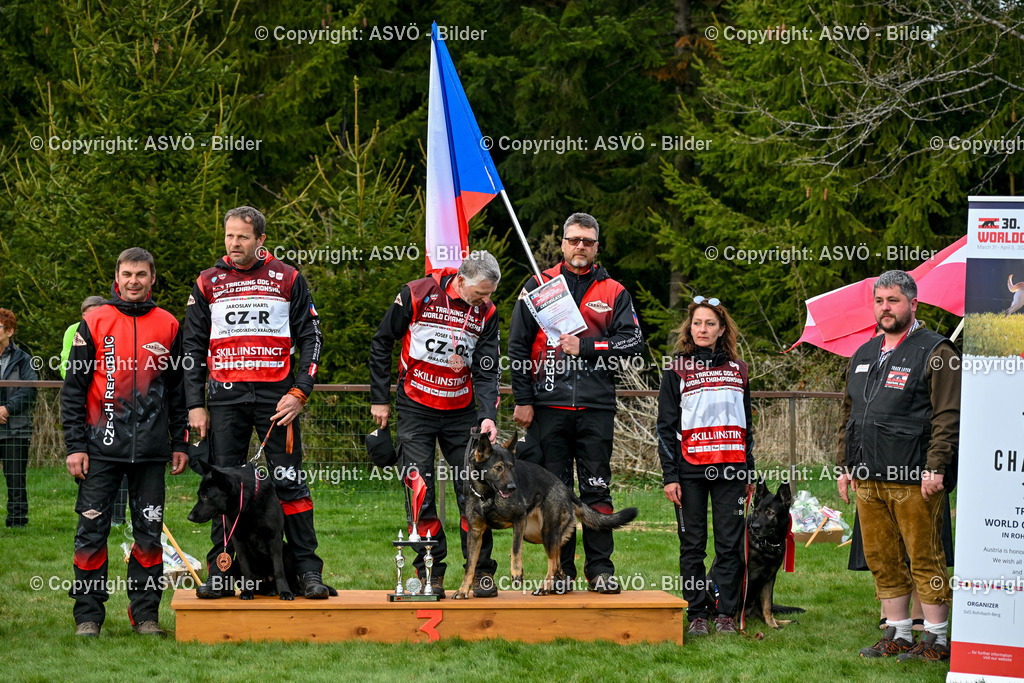 ASVÖ_ Tracking Dog World Championship 2025_ 05.04.2025-228 | bilder.asvo-sport - Realisiert mit Pictrs.com
