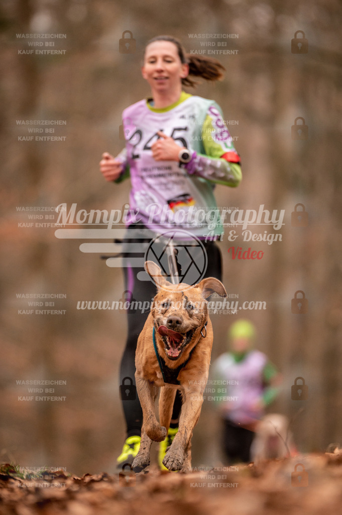 AKM_ST_2023_Son_Run-80 | PayLife