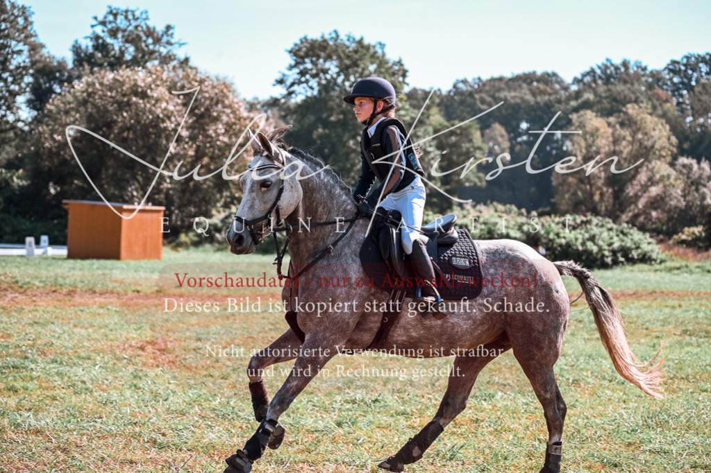 DSC_1148 | Pferde- und Turnierfotografie in Westsachsen. Pferdeportraits, Auftragszeichnungen und intuitive Kunst.
