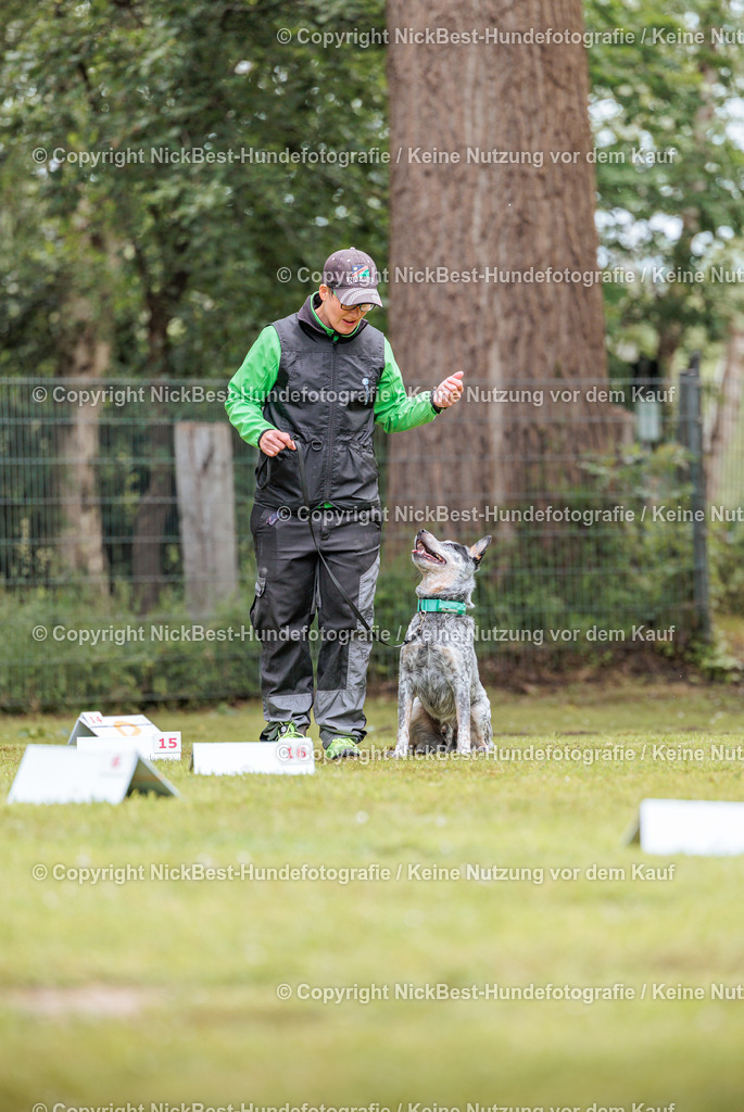 RO-Blumenthal-2026-Nickbest-Hundefotografie-5415 | Dein Hund! Dein Moment! Deine Erinnerungen! Hundefotografie in Bremen Blumenthal. Ich fange die besonderen Momente deines Vierbeiners ein – ob Indoor mit Blitzanlage oder in der freien Natur. Sicher dir dein Moment und dein Termin für eure Erinnerungen.