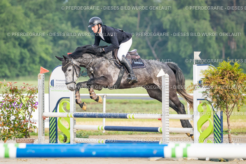 DSC07582 | Pferdegrafie