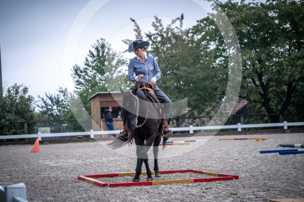 HEB07916 | BS-foto