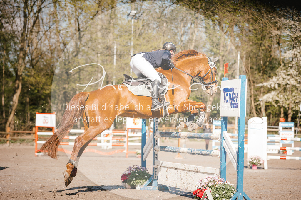 3I6A3731 | Stimmungsvolle Portraits und Reitsportfotografie im Ruhrgebiet und im Münsterland.

Pferdefotografie, Hundefotografie, Tierfotografie, Reportagen, Portraits von Tier und Mensch, Turnierfotografie in Bochum, Recklinghausen, Marl, Haltern am See, Dülmen.. - Realisiert mit Pictrs.com