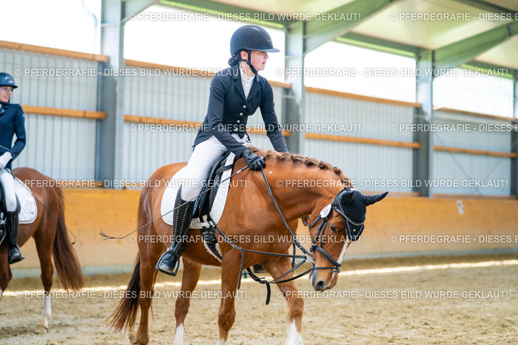 DSC08905 | Pferdegrafie