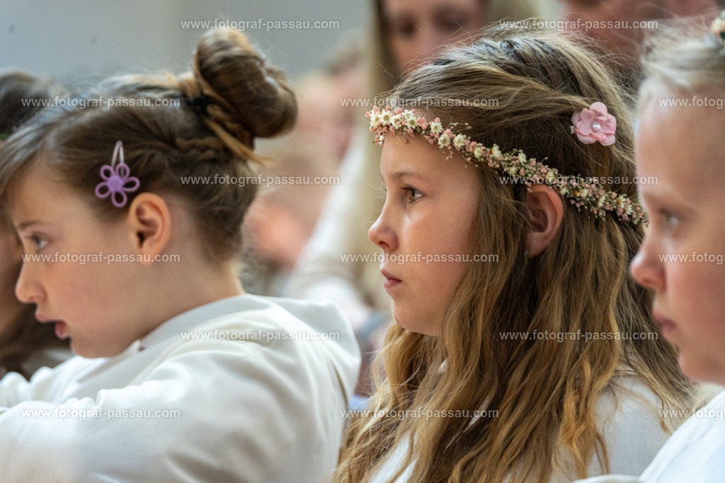A7V02797 | Hier finden Sie die Online Foto-Galerie von fotograf-passau.com und marius-handrugan.de. Suchen Sie sich direkt Ihre Lieblingsbilder aus, ob als Ausdruck oder Download. - Realisiert mit Pictrs.com