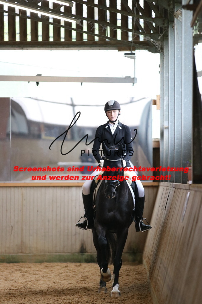 IMG_7861 | lmwpictures - Realisiert mit Pictrs.com