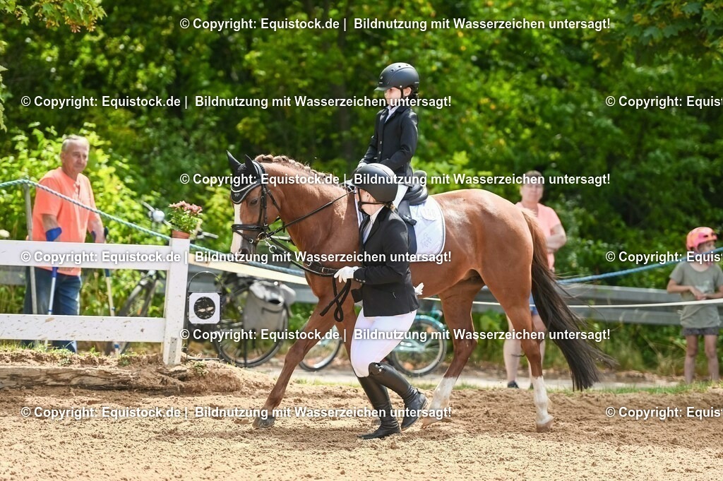 20230716_11_Führzügel-WB_0189 | equistock