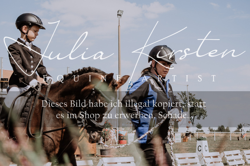 DSC_4554 | Pferde- und Turnierfotografie in Westsachsen. Pferdeportraits, Auftragszeichnungen und intuitive Kunst.