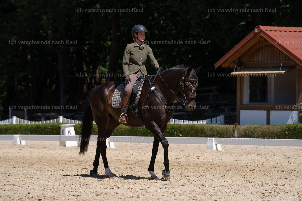 WS_DR_19_sinafilmart_IN03094 | working equitationturnier fotograf videograf stoibphotography marixx film working equitation deutschland reitsport turnierfotografie eventfotografie equestrian events
