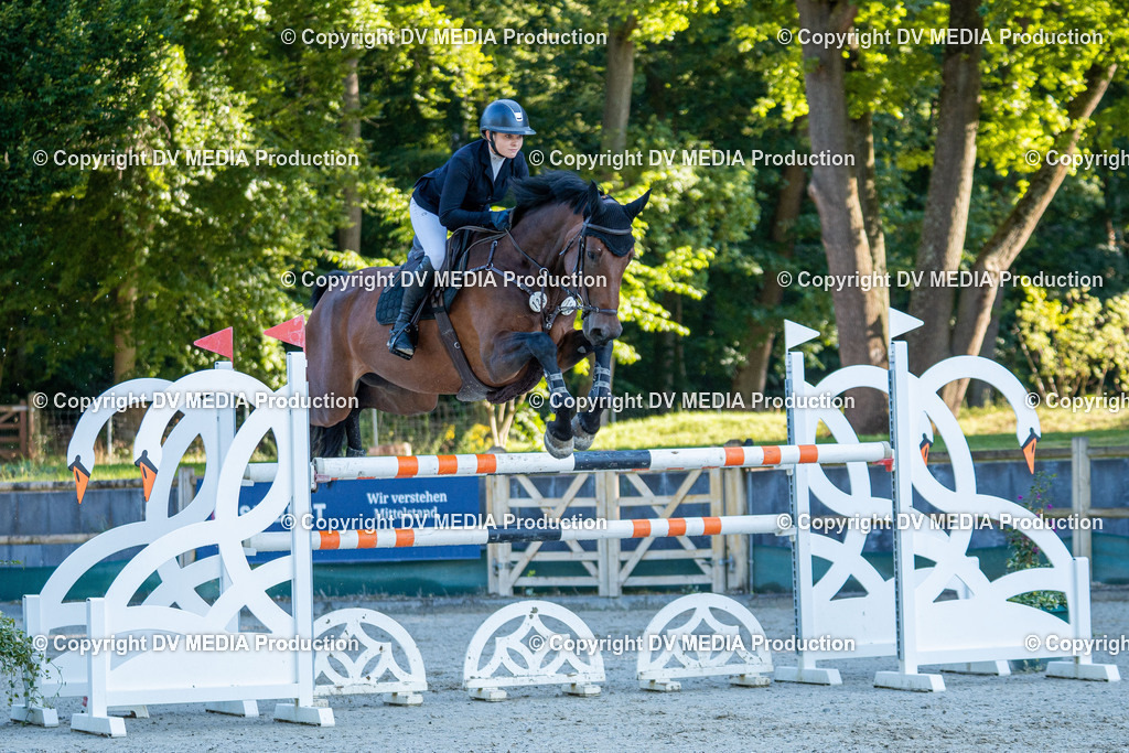 Hessische Tag 1-1146 | dv-media-shop - Realisiert mit Pictrs.com