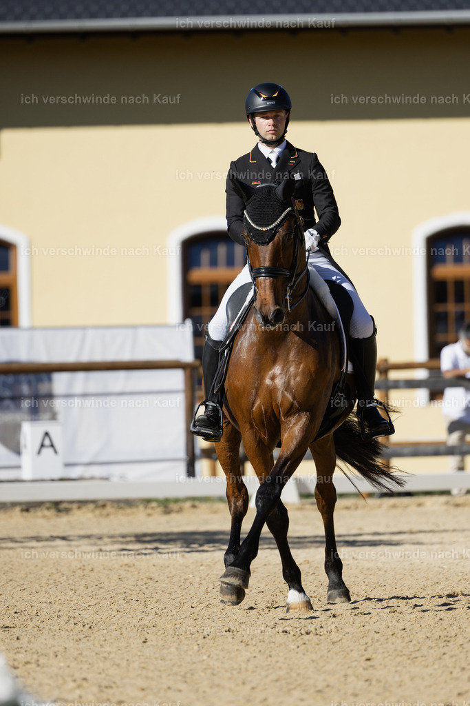 FHC2026_P09_22_18442 | working equitationturnier fotograf videograf stoibphotography marixx film working equitation deutschland reitsport turnierfotografie eventfotografie equestrian events