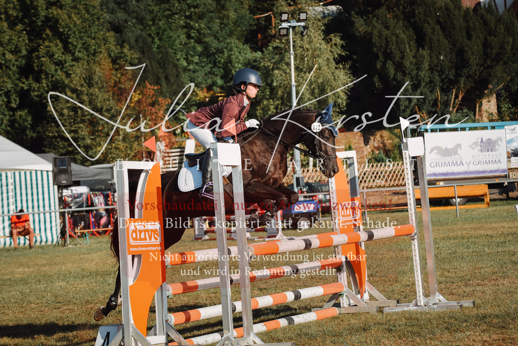 DSC_5074 | Pferde- und Turnierfotografie in Westsachsen. Pferdeportraits, Auftragszeichnungen und intuitive Kunst.