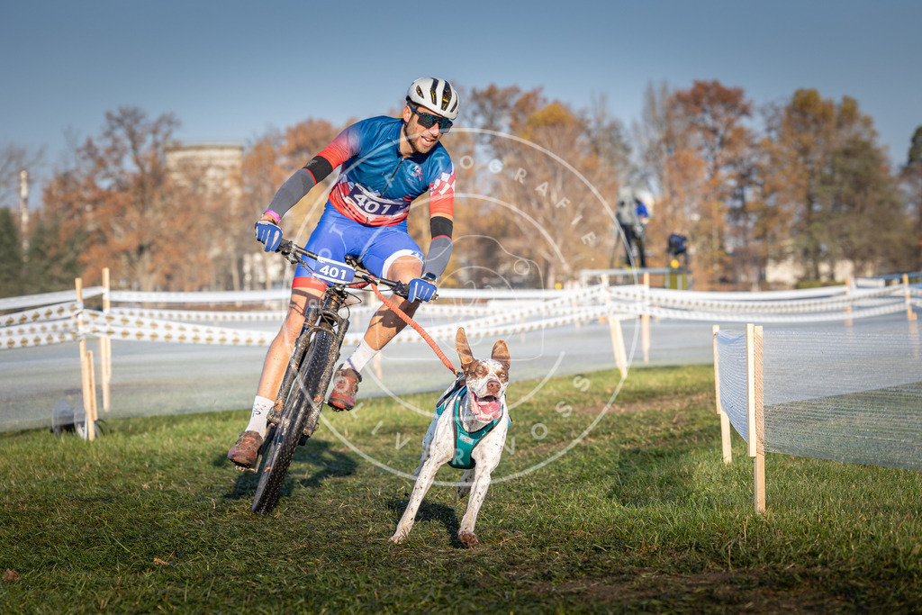 CaniXpix_0L8A3962 | Hundefotografie, Tierfotograf, Pfotenfotografie, Fotoshooting Hund, Hunde Portrait, Hundesport, Hundeportraits, Heideshooting, Hunde, Sportfotograf, Hundefotograf, Turnierhundsport, THS,  - Realisiert mit Pictrs.com