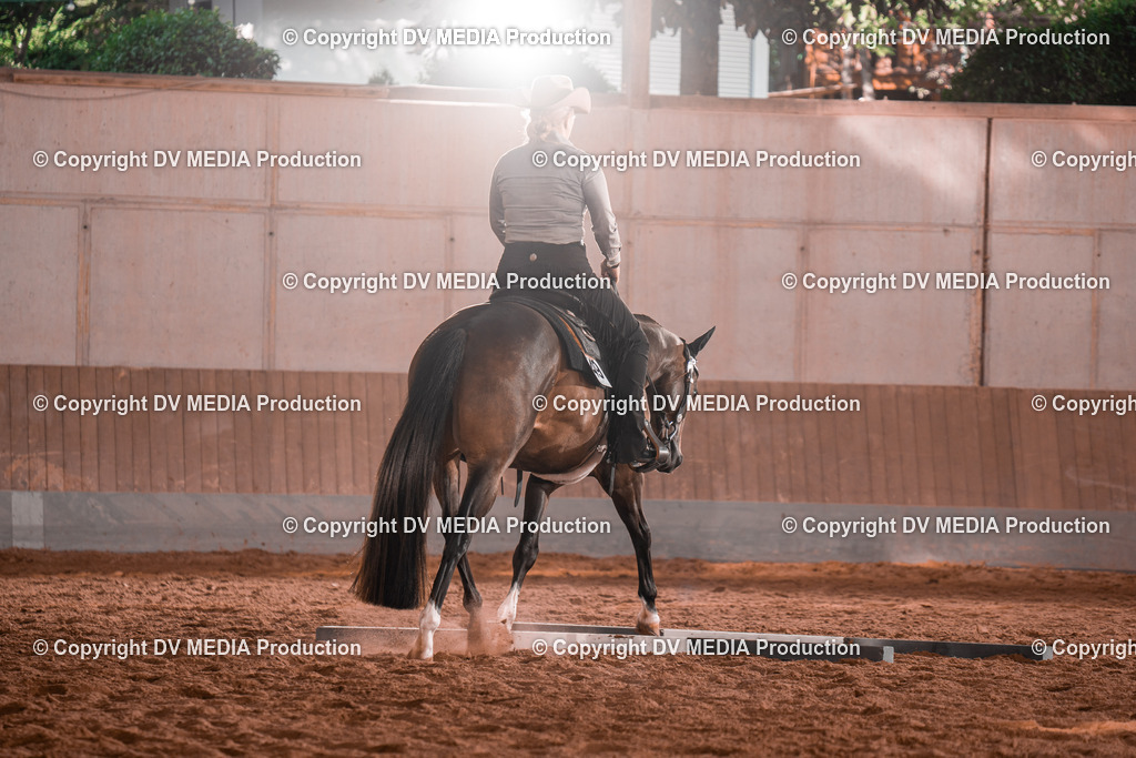 NE200137 | dv-media-shop - Realisiert mit Pictrs.com