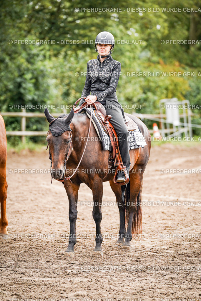 DSC04824 | Pferdegrafie