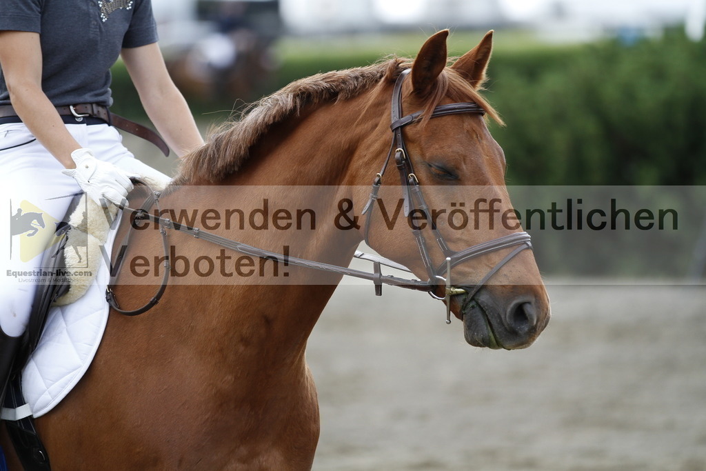 _MG_2479 | equestrian-live-com