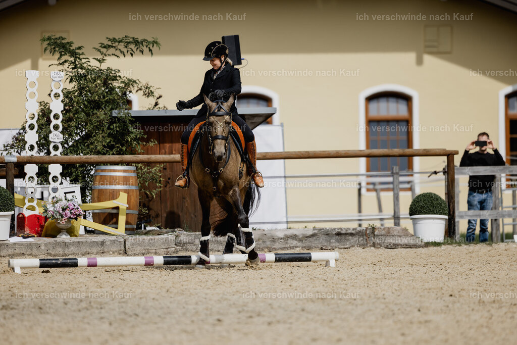 Katja7_FHC2025-20216 | working equitationturnier fotograf videograf stoibphotography marixx film working equitation deutschland reitsport turnierfotografie eventfotografie equestrian events