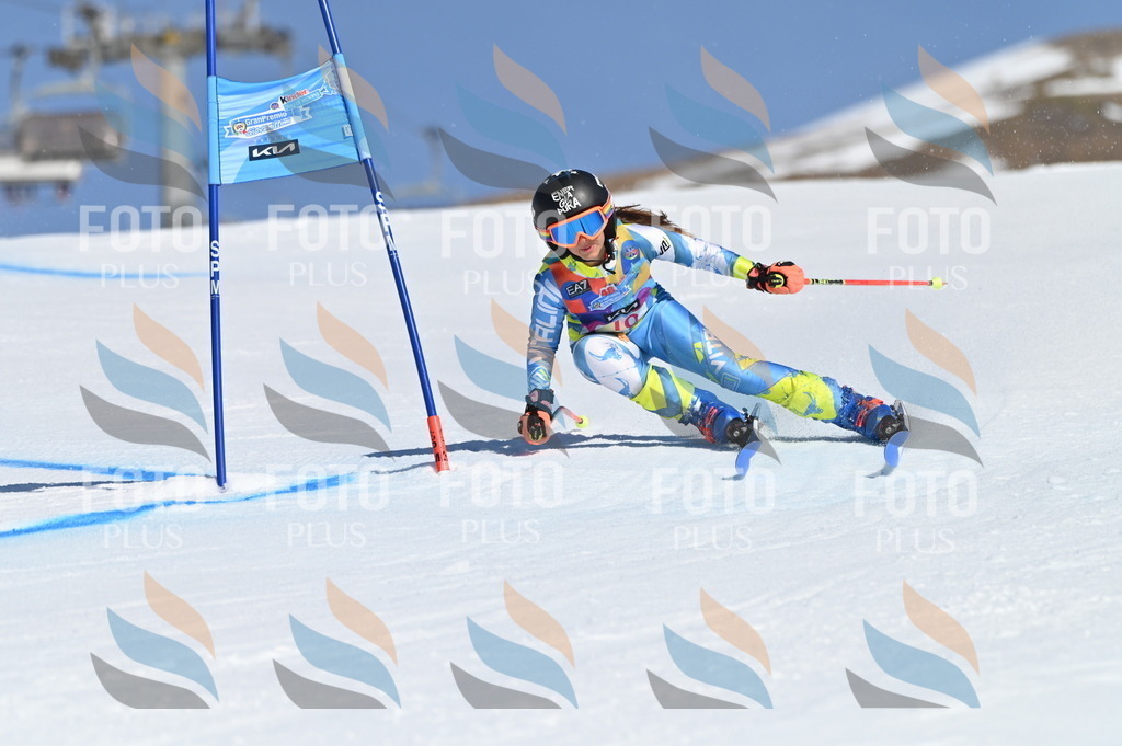 BGV_7753 | holidayphoto