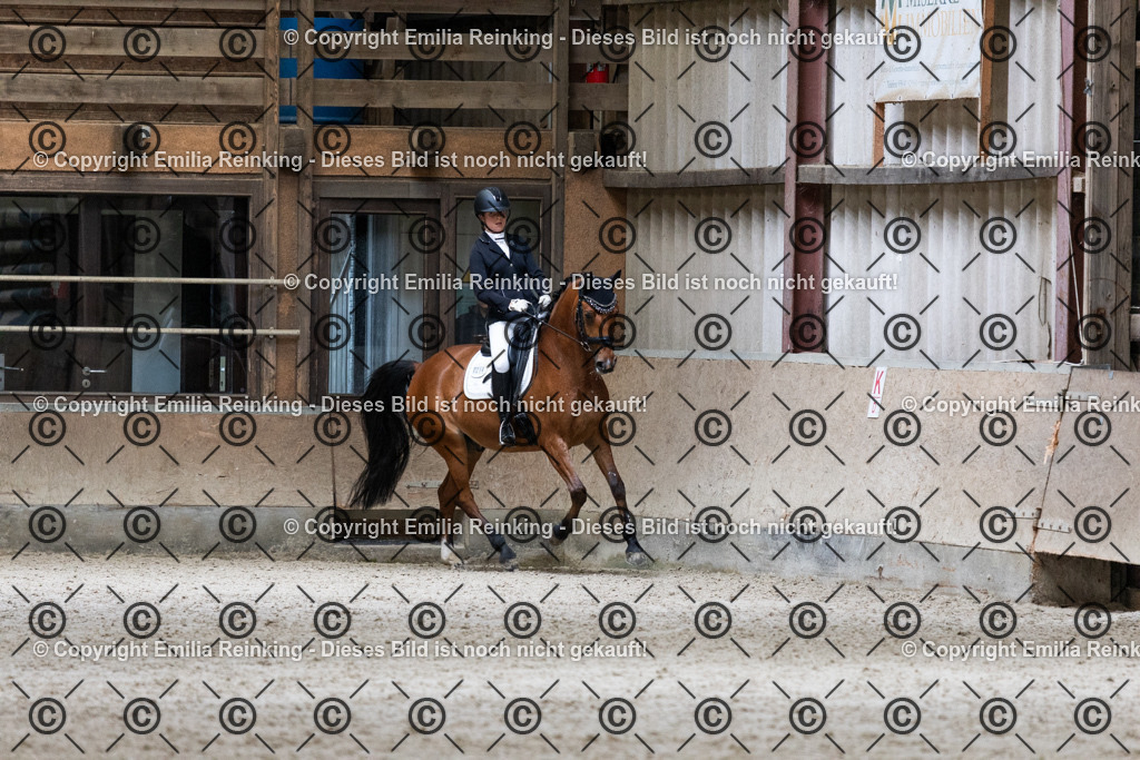 CL5A5336 | Emilia Reinking Fotografie - Realisiert mit Pictrs.com