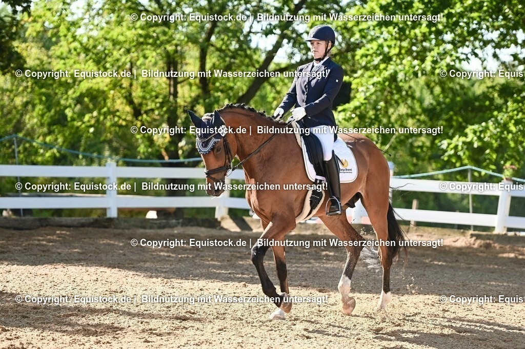 20230715_06_Dressurpferdeprfg. Kl.A_0220 | equistock