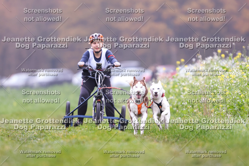 Dog Paparazzi - Visbeck 25 -128 | Dog Paparazzi Jeanette Grottendiek Fotografie & Videografie - Realisiert mit Pictrs.com