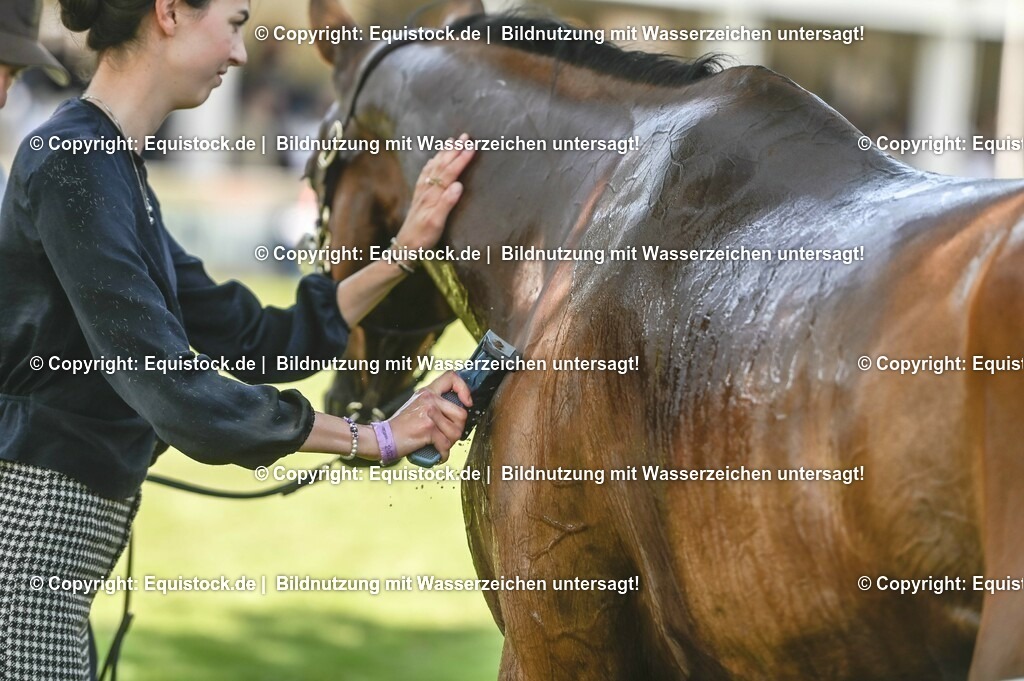 20230527_27_CCI4_Gelände_0286 | equistock