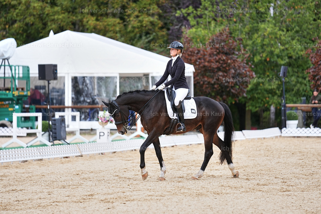 04_1-104-Dressur M__ -Marixx-2741 | working equitationturnier fotograf videograf stoibphotography marixx film working equitation deutschland reitsport turnierfotografie eventfotografie equestrian events
