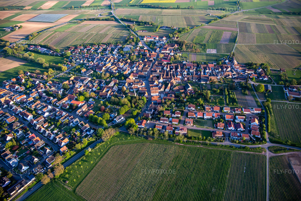 Luftbild: Ortsansicht von Norden in Impflingen im Bundesland Rheinland-Pfalz in Deutschland. Foto: IMG_140334.jpg vom 23.04.2024 durch Werner Riehm/FLY-FOTO.de