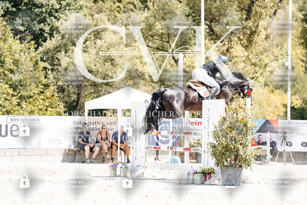 CK900186 | Turnierfotografie Pferdefotografie Trier Rheinland-Pfalz Pferdesport Reitsport Tierfotografie Sportfotografie Pferdevideo Pferdevideografie Equestrianvideography equestrianphotography  - Realisiert mit Pictrs.com