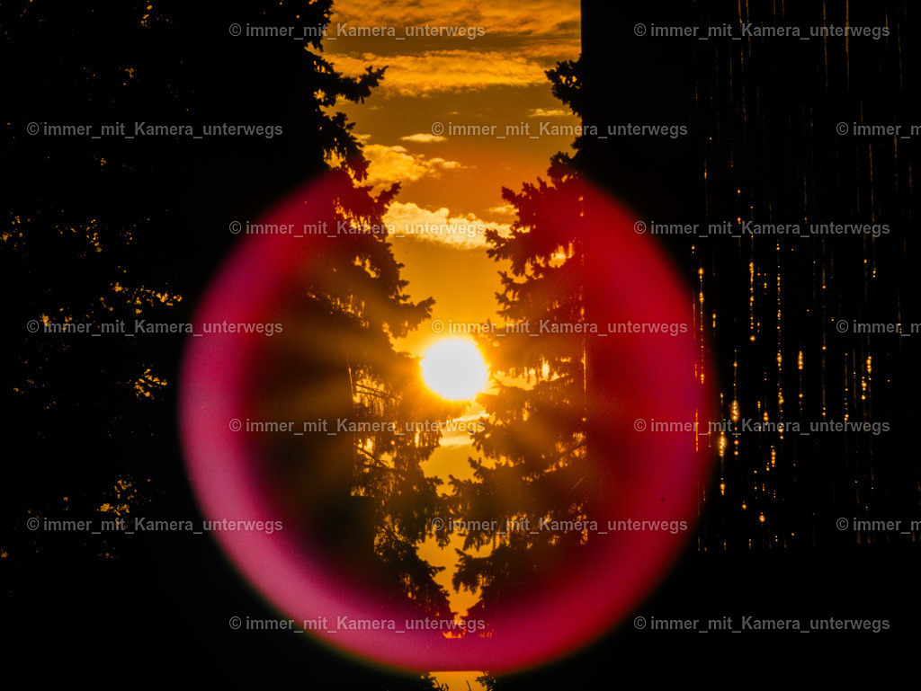 IMG_9354 | immer_mit_kamera_unterwegs