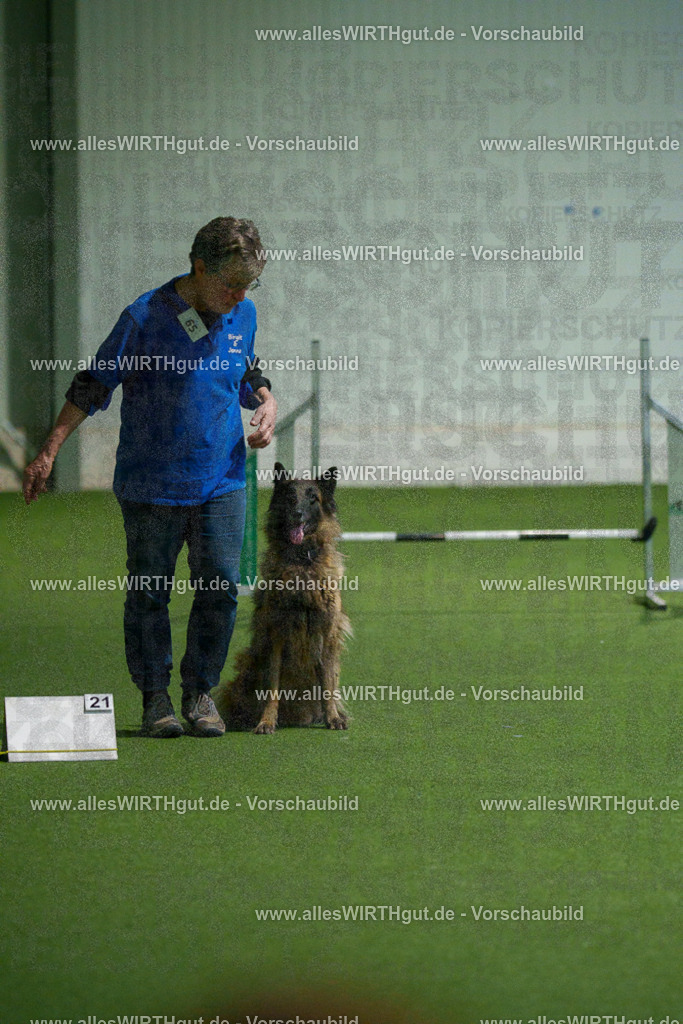 7R507901 | Professionelle Tierfotografie in Mönchengladbach von Daniel Wirth (allesWIRTHgut). Liebevolle & natürliche Bilder von Hunden & Katzen für unvergessliche Erinnerungen.