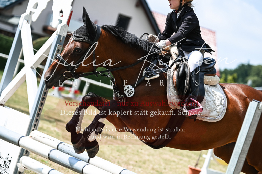 DSC_9363 | Pferde- und Turnierfotografie in Westsachsen. Pferdeportraits, Auftragszeichnungen und intuitive Kunst.