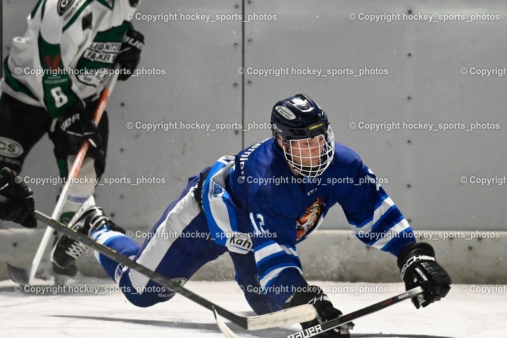 EC Ice Tigers Paternion vs. DSG Ledenitzen Faakersee 14.1.2024 | #94 Wrann Jakob, #12 Steiner Domenik