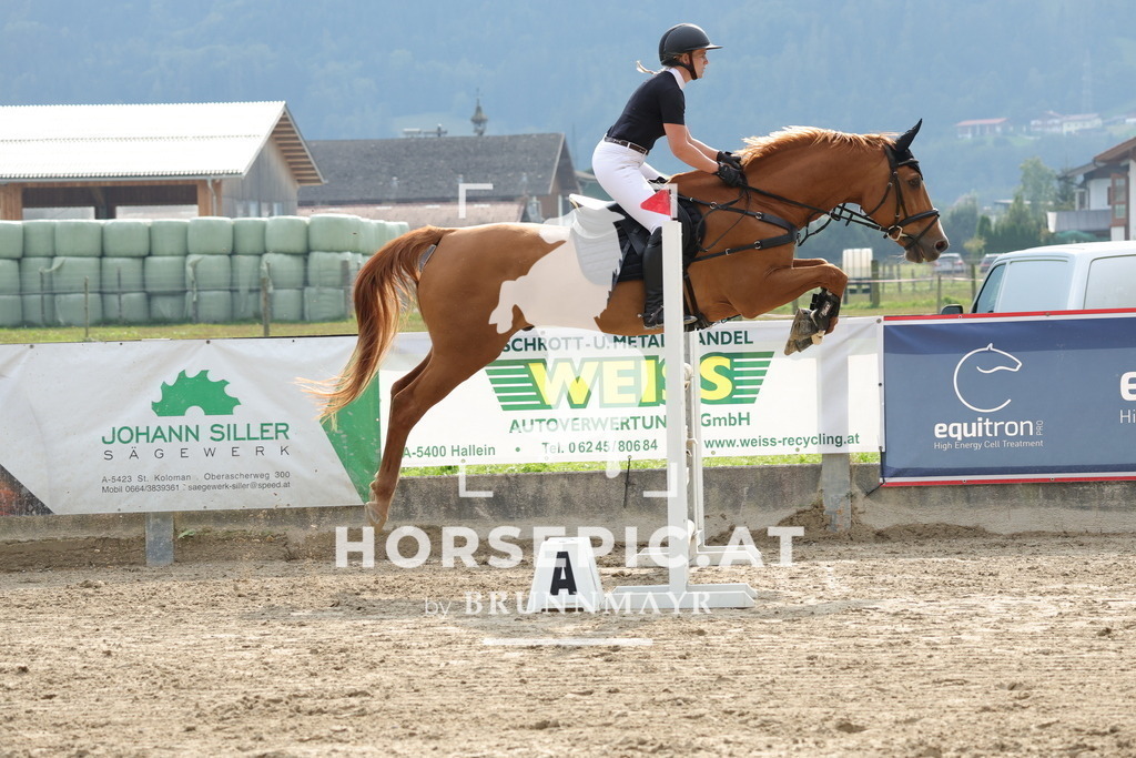 0P6A0436 | Willkommen bei Brunnmayr - Design & Fotografie – Ihrem Spezialisten für Reitturniere und Pferdeveranstaltungen in Oberösterreich, Salzburg und Bayern! Seit über 17 Jahren sind wir leidenschaftlich dabei.
