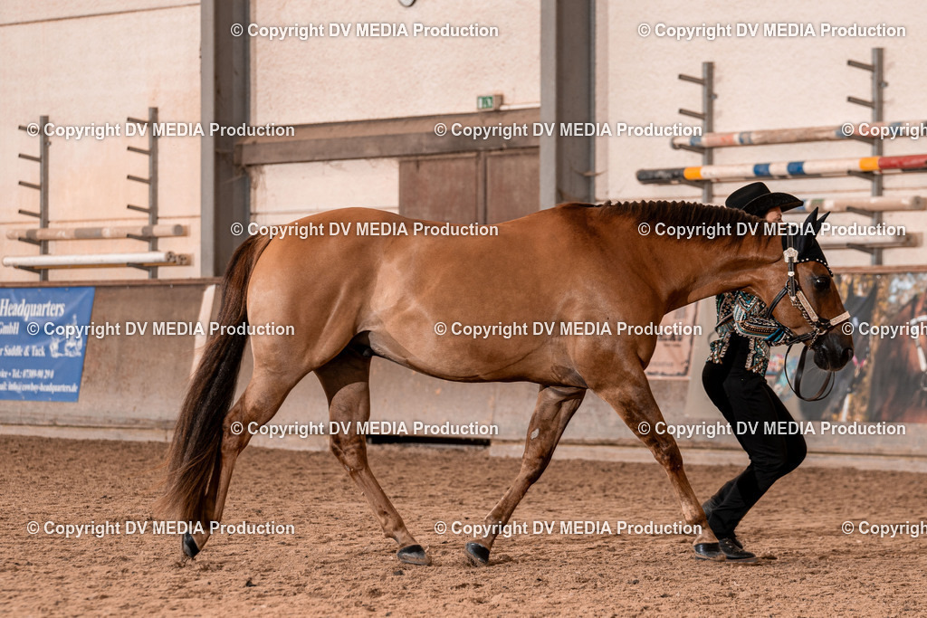 LM Heiligenwald Tag 1-340 | dv-media-shop - Realisiert mit Pictrs.com