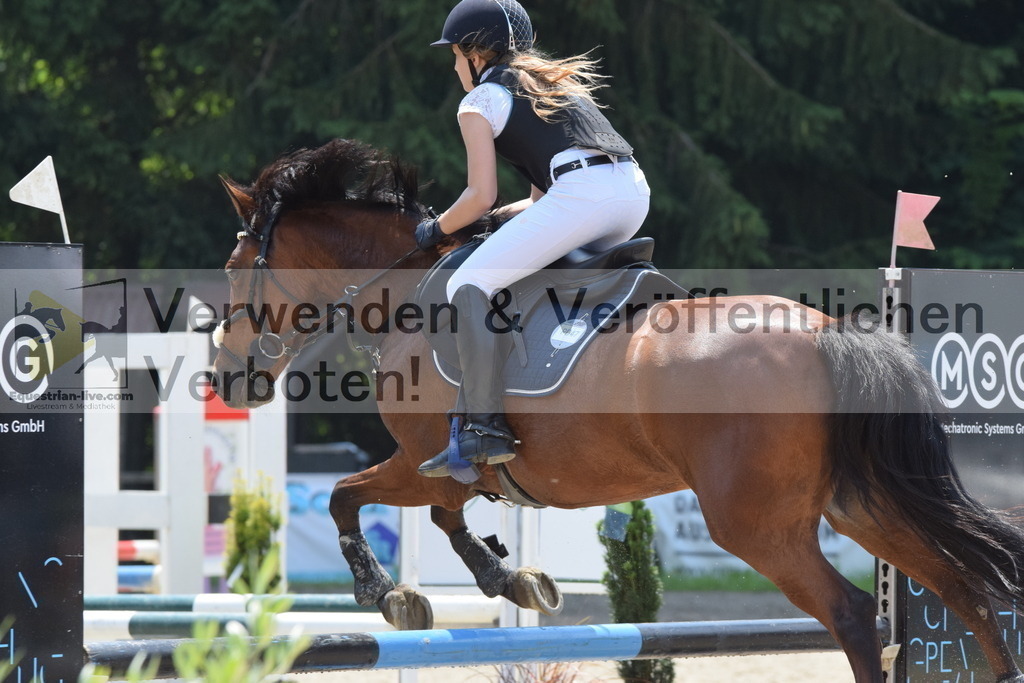 DSC_0001 | equestrian-live-com
