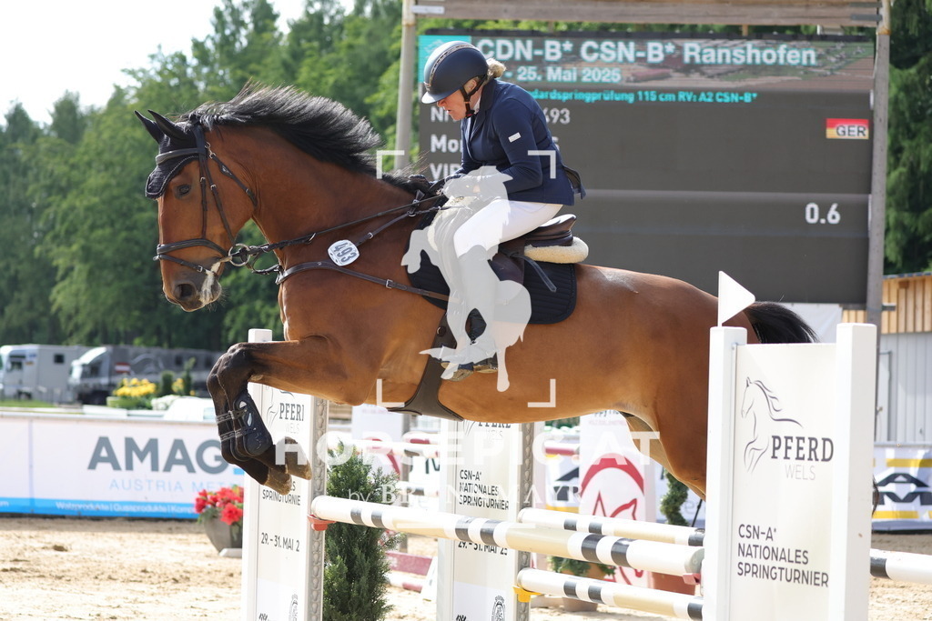 0P6A6412 | Willkommen bei Brunnmayr - Design & Fotografie – Ihrem Spezialisten für Reitturniere und Pferdeveranstaltungen in Oberösterreich, Salzburg und Bayern! Seit über 17 Jahren sind wir leidenschaftlich dabei.