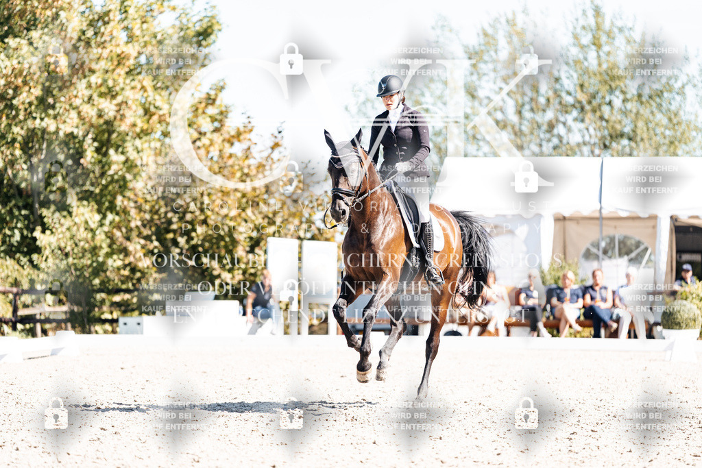 CK909751 | Turnierfotografie Pferdefotografie Trier Rheinland-Pfalz Pferdesport Reitsport Tierfotografie Sportfotografie Pferdevideo Pferdevideografie Equestrianvideography equestrianphotography  - Realisiert mit Pictrs.com