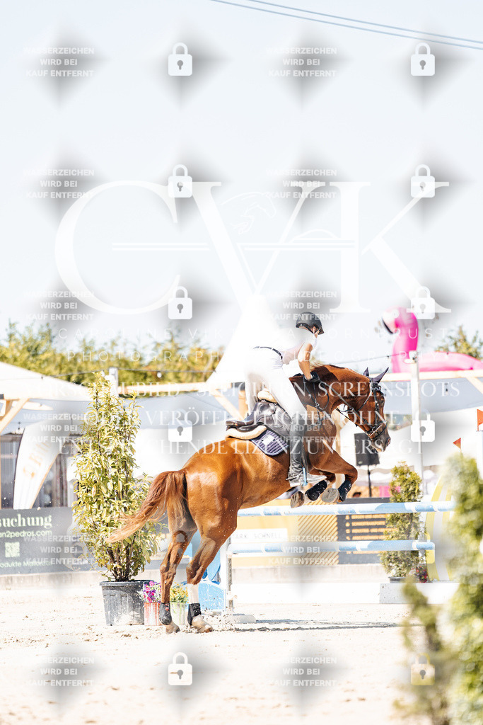 CK909812 | Turnierfotografie Pferdefotografie Trier Rheinland-Pfalz Pferdesport Reitsport Tierfotografie Sportfotografie Pferdevideo Pferdevideografie Equestrianvideography equestrianphotography  - Realisiert mit Pictrs.com