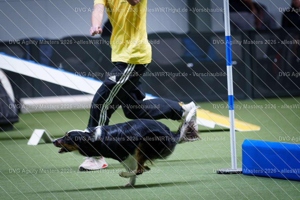 allesWIRTHgut_Tierfotografie-DVG_Agility_Masters_2026-12_32-7R502520 | Professionelle Tierfotografie in Mönchengladbach von Daniel Wirth (allesWIRTHgut). Liebevolle & natürliche Bilder von Hunden & Katzen für unvergessliche Erinnerungen.