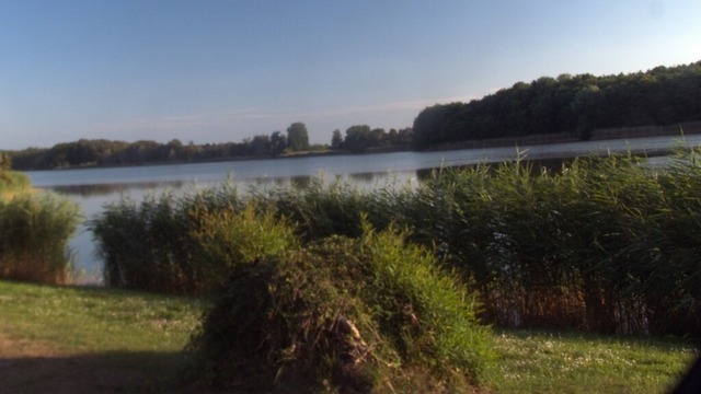 Achterwasser bei Ückeritz | Verkauf von Fotos und  Videoclips zumThema Natur.Motive sind Pflanzen, Tiere, Landschaftenund Wetter